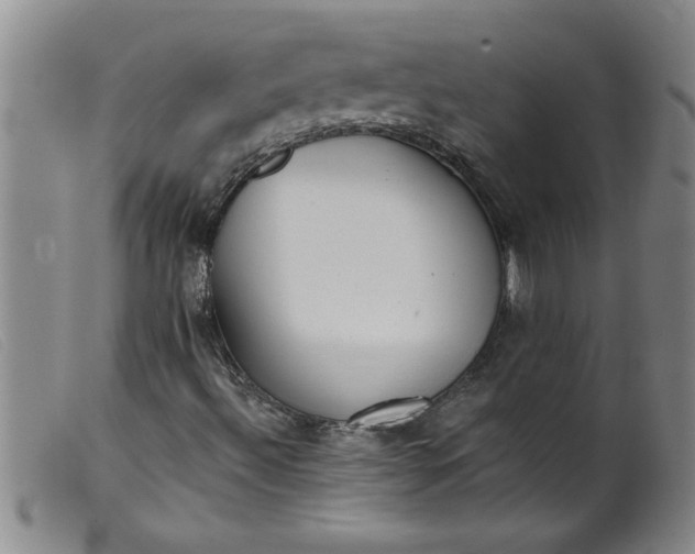 X0000099321492200805161348