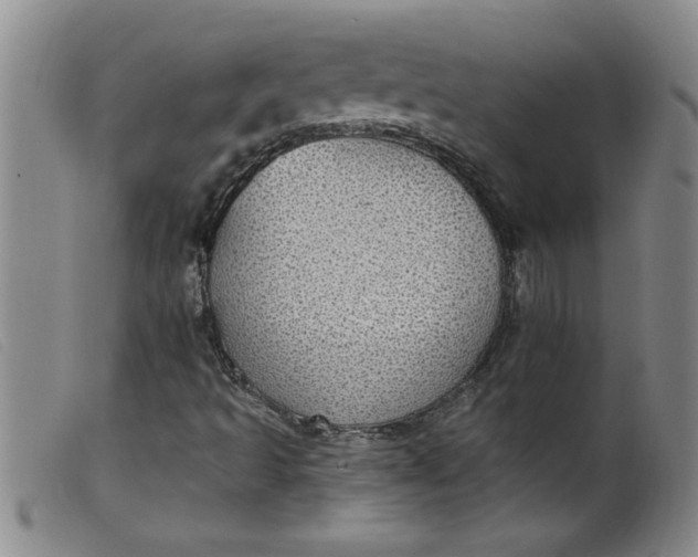 X0000099321493200805161348