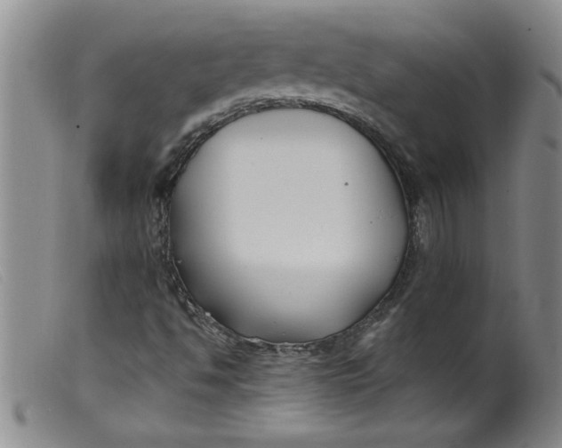 X0000099321494200805161348