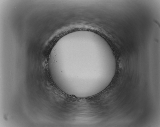 X0000099321495200805161348