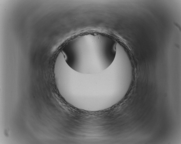 X0000099321496200805161348