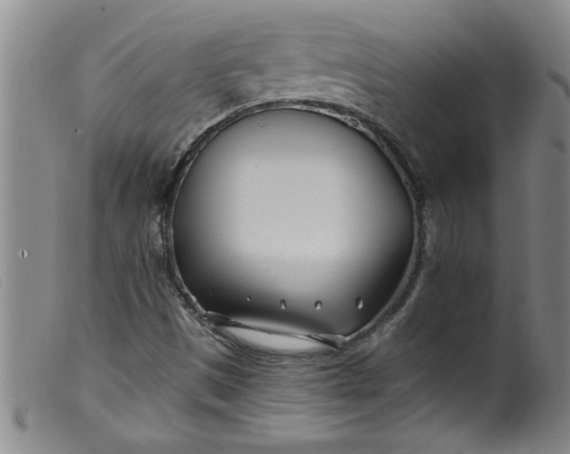 X0000099321497200805161348