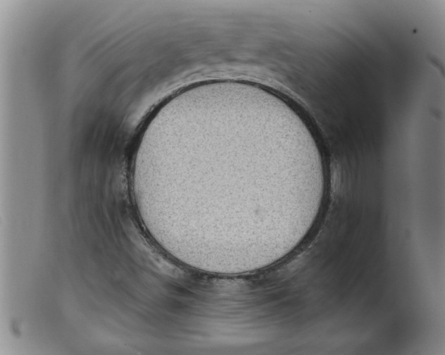 X0000099321498200805161348