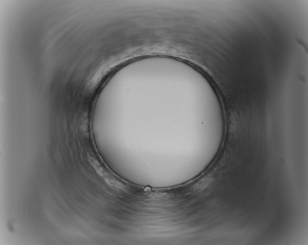 X0000099321499200805161348