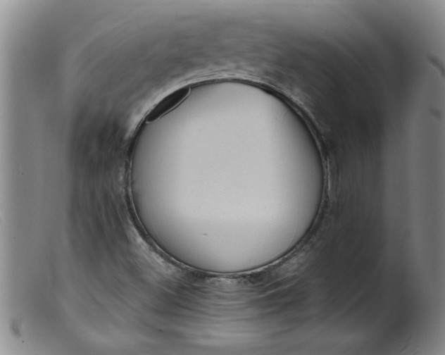 X0000099321500200805161348