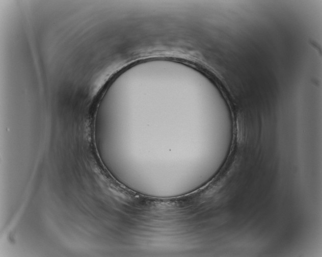 X0000099321501200805161348