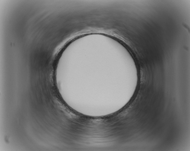 X0000099321502200805161348