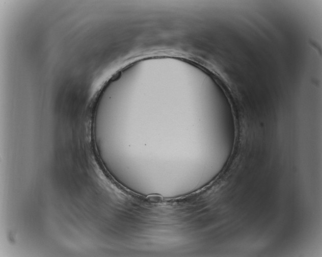 X0000099321504200805161348