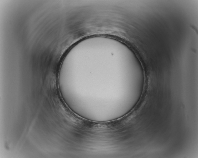 X0000099321505200805161348