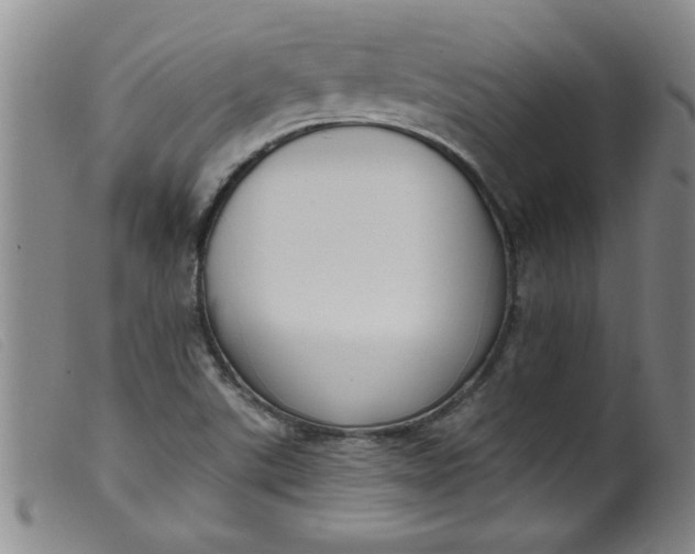 X0000099321507200805161348