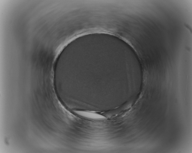 X0000099321508200805161348