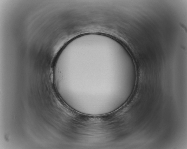 X0000099321509200805161348