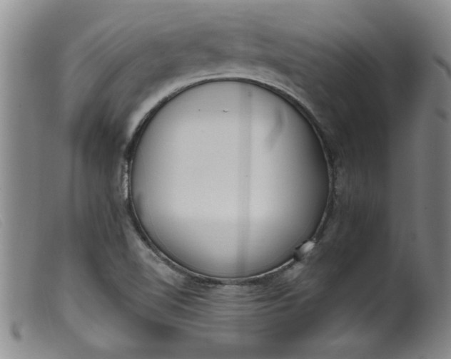 X0000099321510200805161348