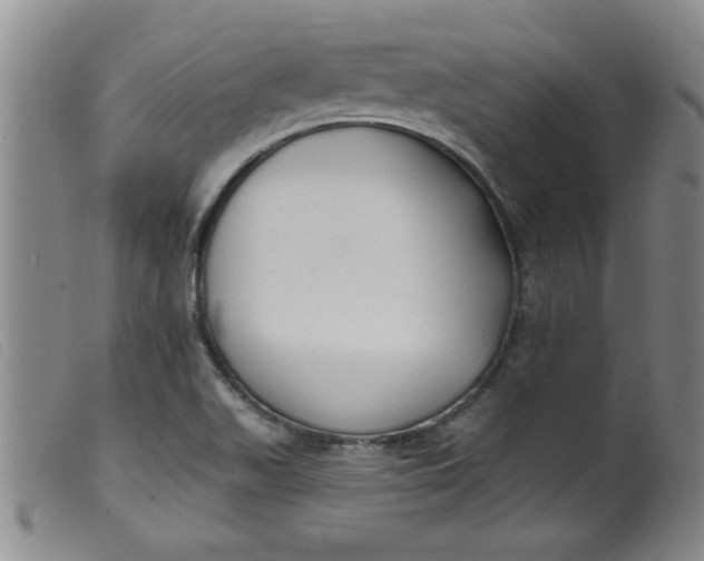 X0000099321511200805161348