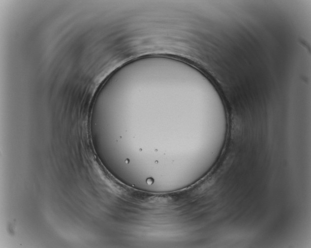 X0000099321513200805161348