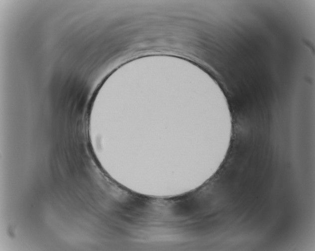 X0000099321514200805161348