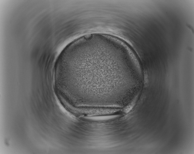 X0000099321515200805161348