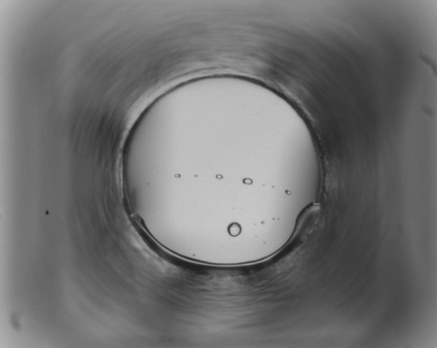 X0000099321516200805161348