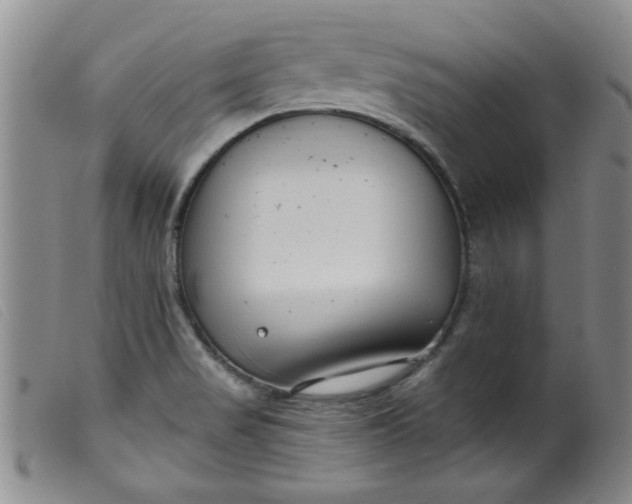 X0000099321517200805161348