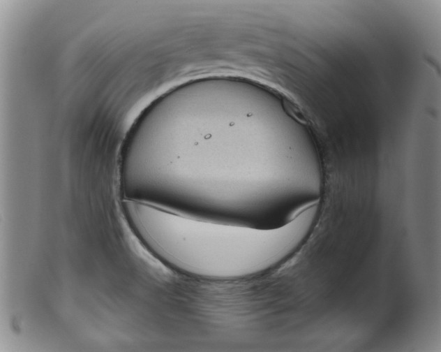 X0000099321518200805161348