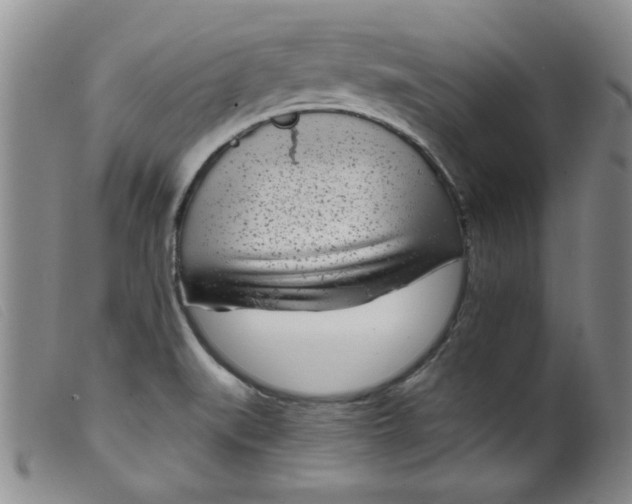 X0000099321519200805161348