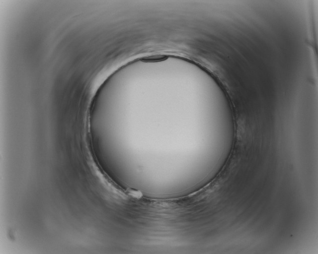 X0000099321520200805161348