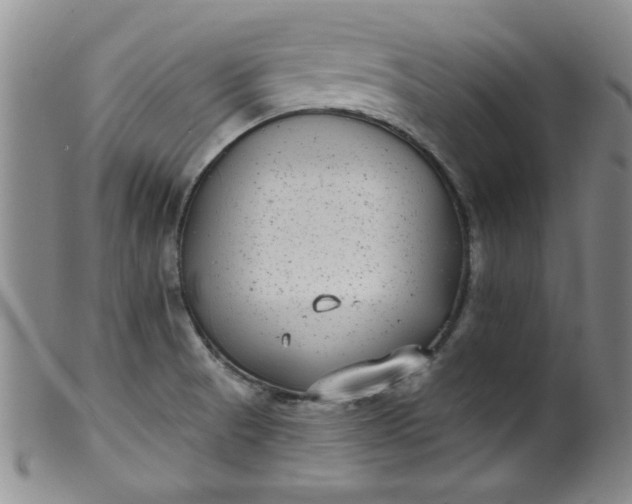 X0000099321521200805161348