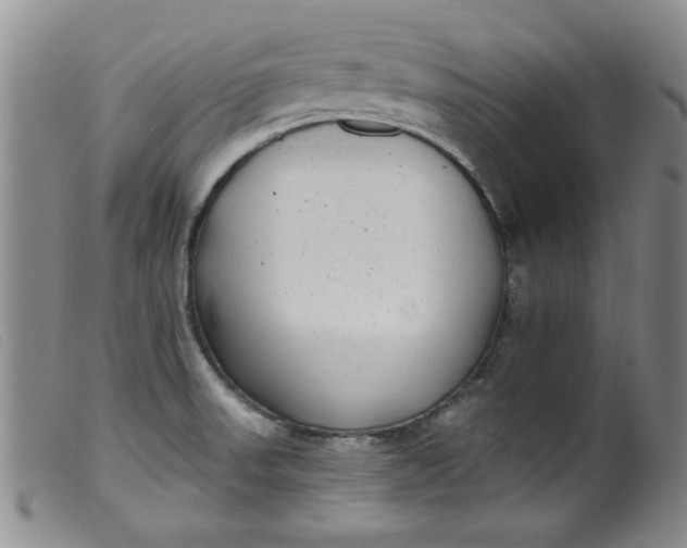 X0000099321523200805161348