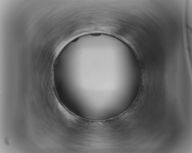 X0000099321524200805161348