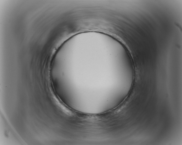 X0000099321525200805161348