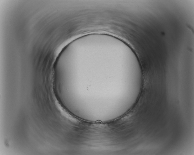 X0000099321526200805161348