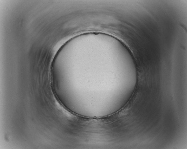 X0000099321527200805161348