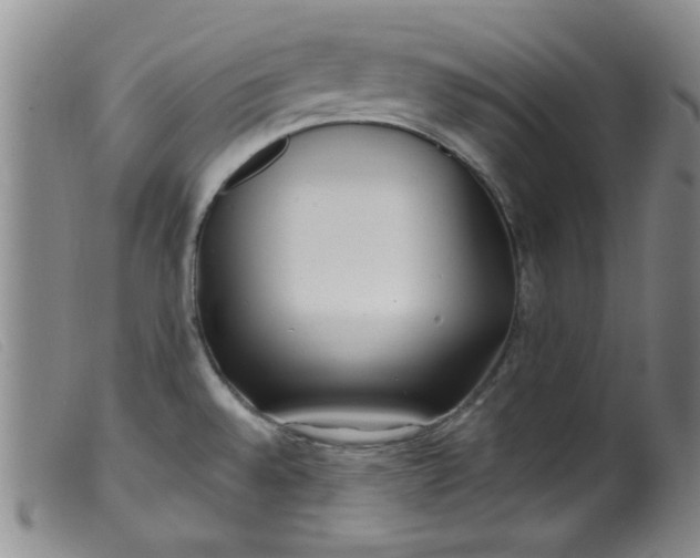 X0000099321528200805161348