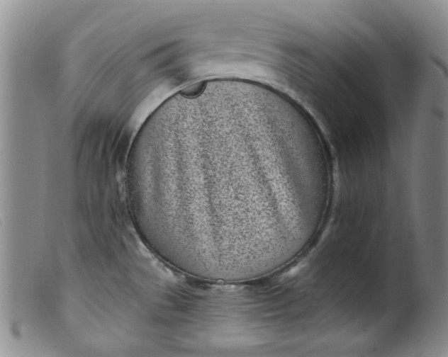 X0000099321529200805161348