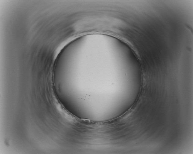 X0000099321530200805161348