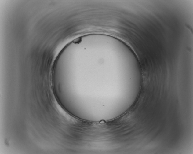 X0000099321531200805161348