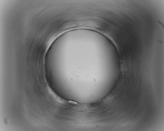 X0000099321532200805161348