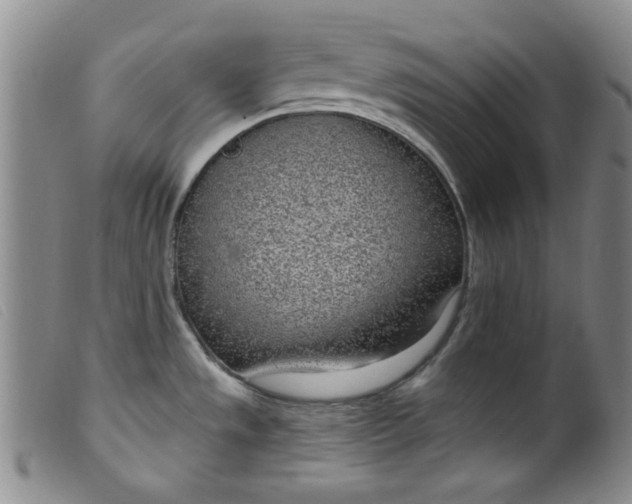 X0000099321533200805161348