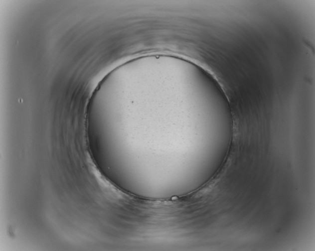 X0000099321534200805161348