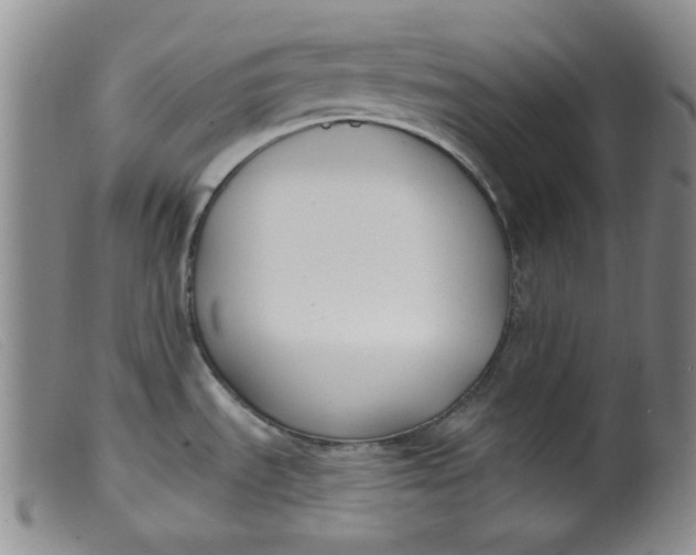 X0000099321535200805161348