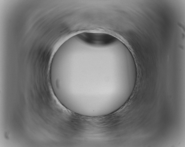 X0000099321536200805161348