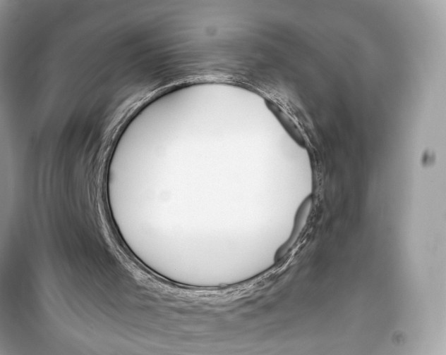 X0000099320001200805231435