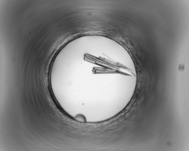 X0000099320002200805231435