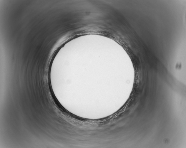 X0000099320004200805231435