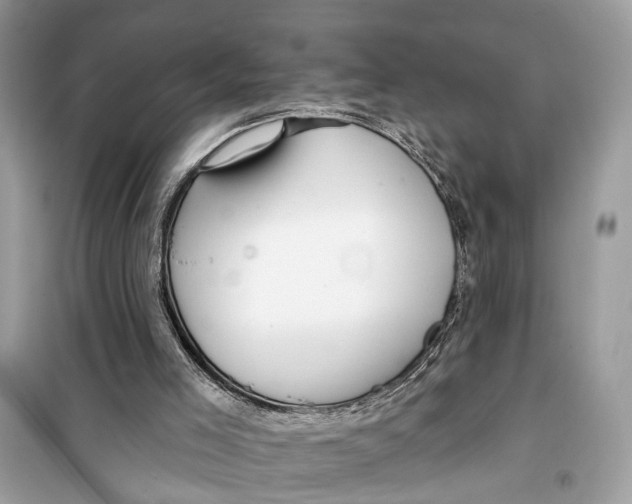 X0000099320005200805231435