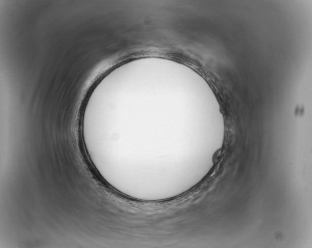 X0000099320006200805231435