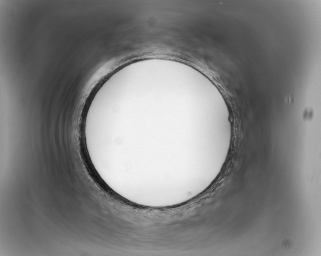 X0000099320007200805231435