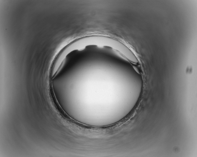 X0000099320008200805231435