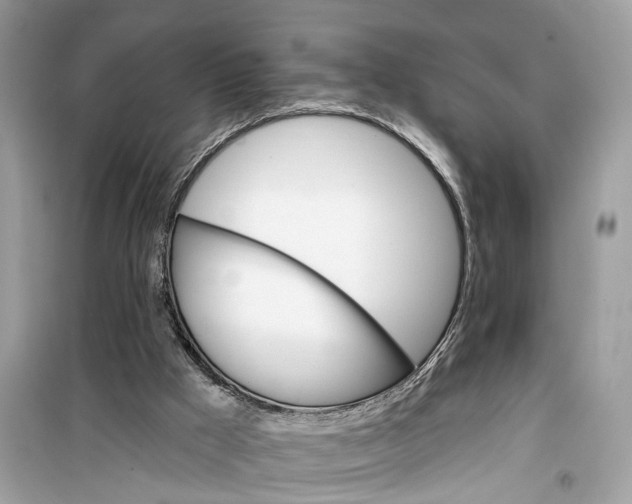 X0000099320009200805231435