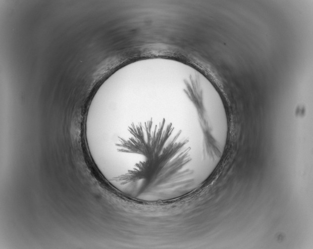 X0000099320010200805231435